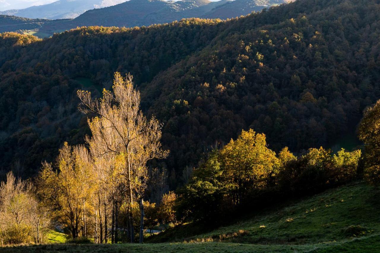 Appartamento Picos De Europa Colio